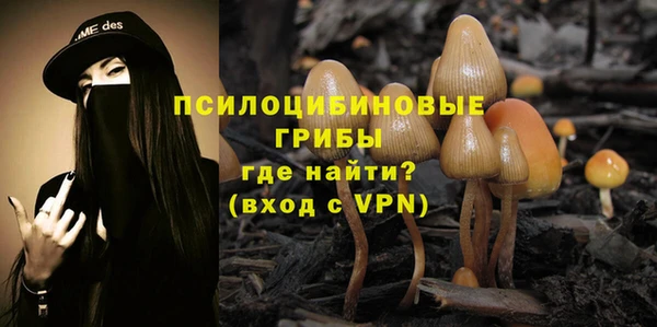 соль курить ск Алзамай